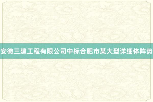 安徽三建工程有限公司中标合肥市某大型详细体阵势